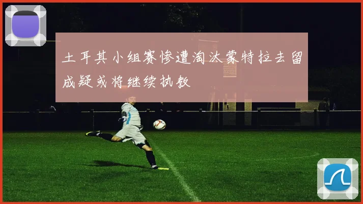 土耳其小组赛惨遭淘汰蒙特拉去留成疑或将继续执教