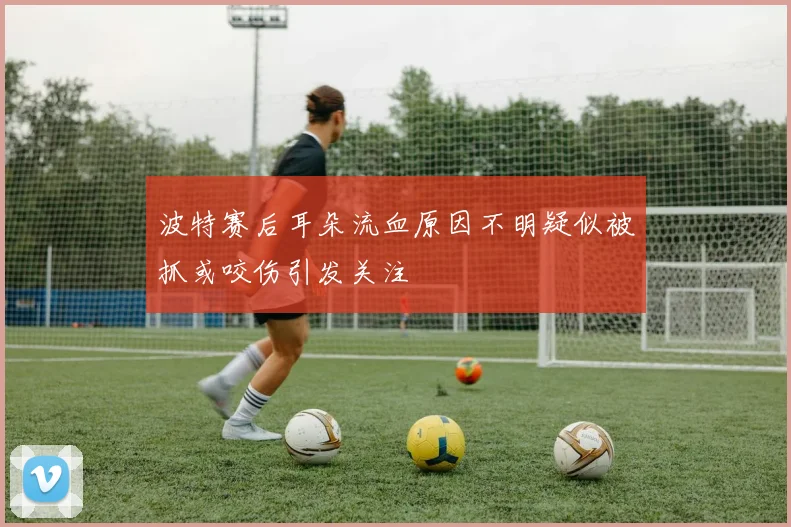 波特赛后耳朵流血原因不明疑似被抓或咬伤引发关注